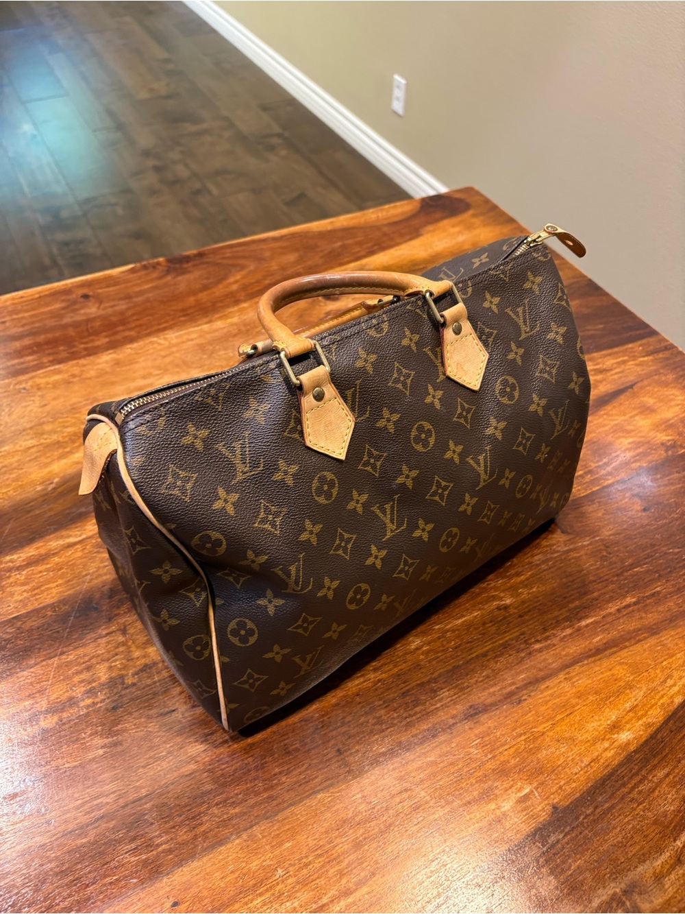 Louis Vuitton Monogram Canvas Speedy Handbag in Brown and Tan